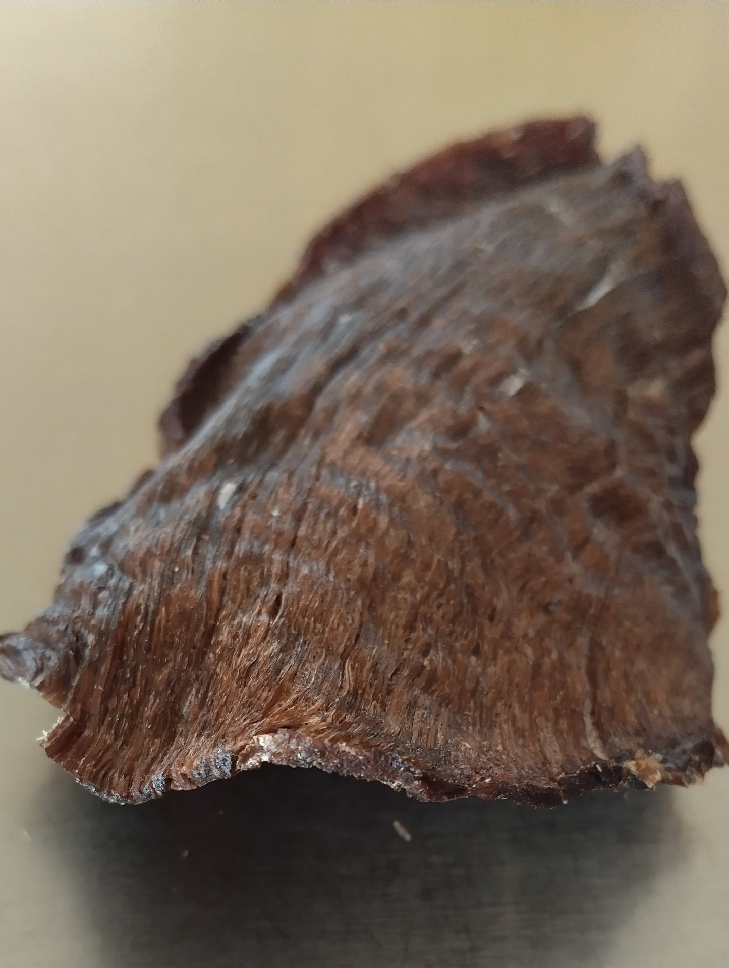 Topside Beef Jerky